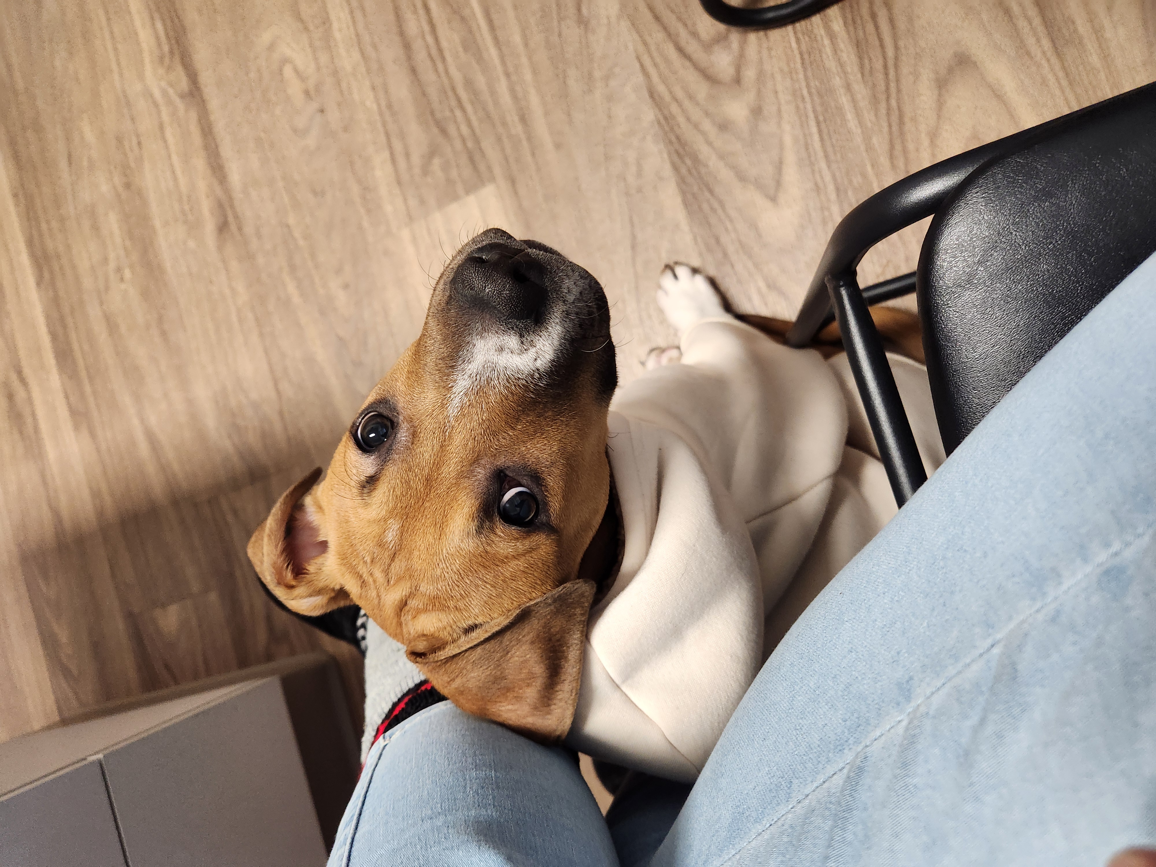 Portrait of Dude ready to work