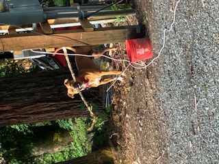 Dude standing proudly with a stick